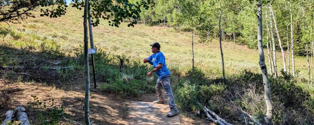 What Discs to Buy? – Making it Easy With Divergent Sets