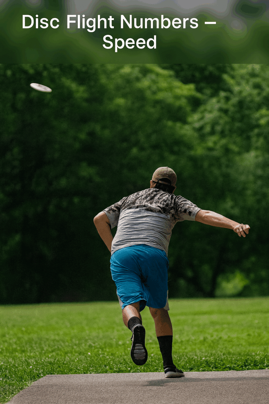 disc golf disc speed