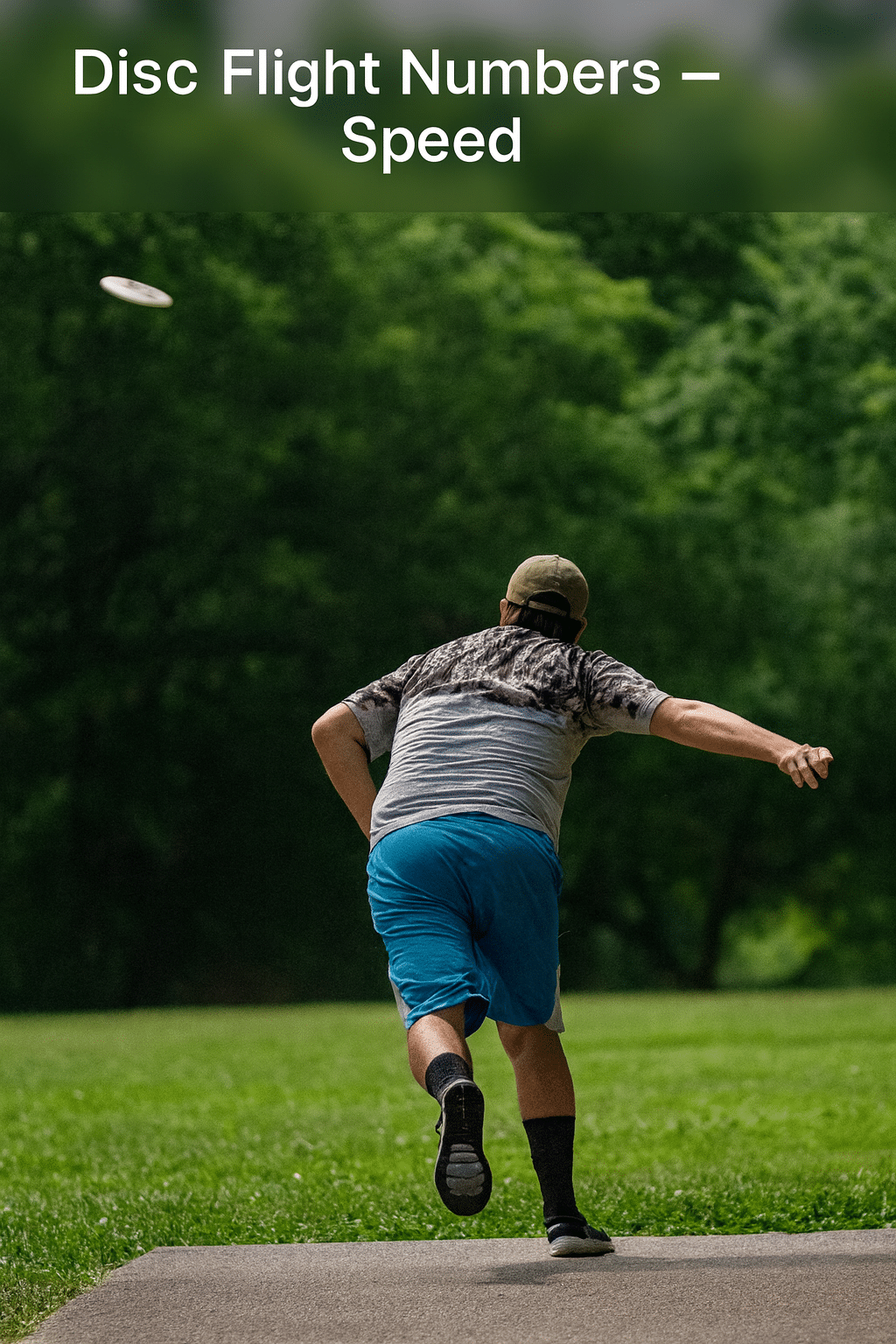 Disc Flight Numbers – Speed